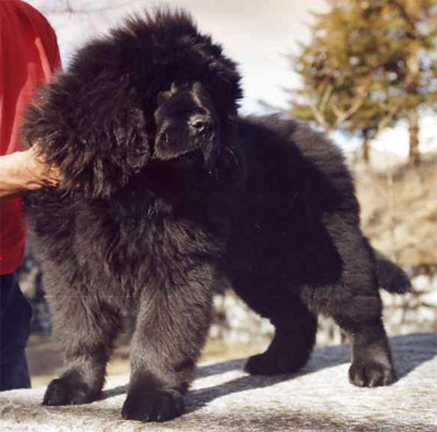 Bretzelle &agrave; 3 mois