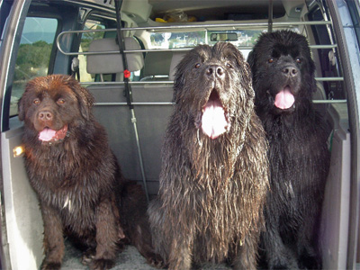 Dylan, et Ulhann Dawson