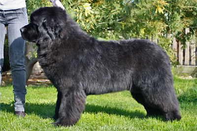 Doughi &agrave: 16 mois