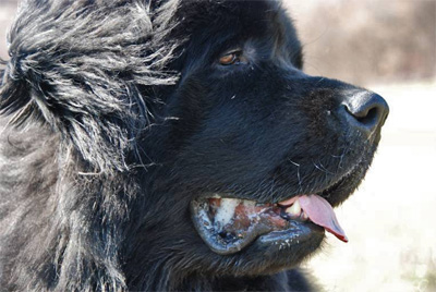 Drum &agrave; 16 mois