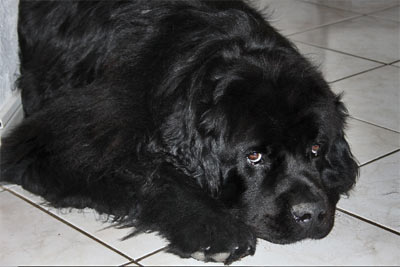 Dylan &agrave; 20 mois