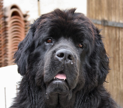 Dylan &agrave; 24 mois