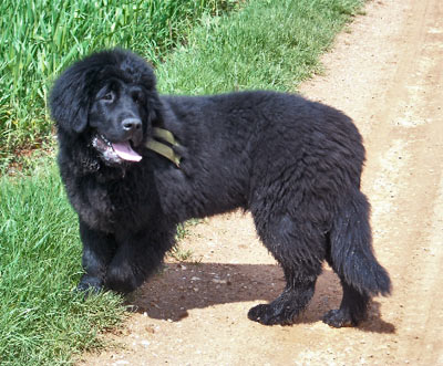 Eben &agrave; 5 mois