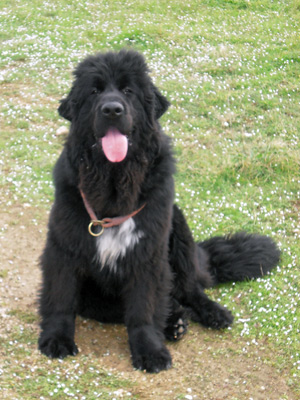 Eden &agrave; 7 mois