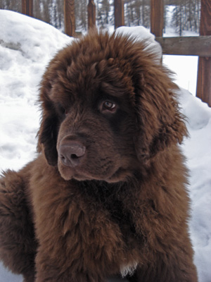 Eliott &agrave; 3 mois et demi