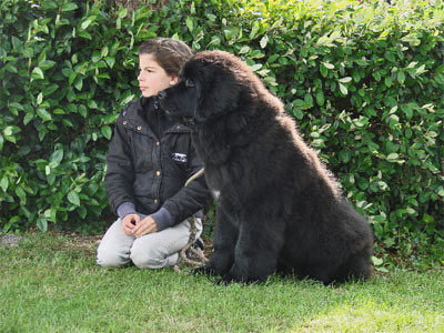 Enfant de Boh&egrave;me