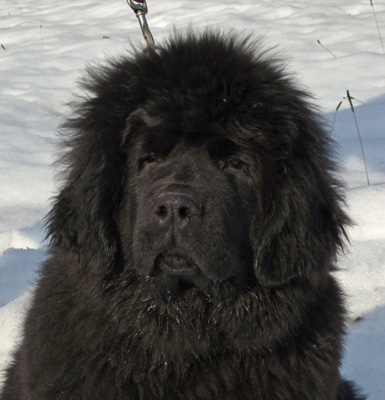 Enfant de Boh&ecirc;me 