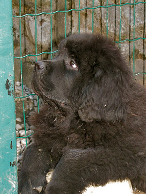 Friend of my heart &agrave; 3 mois