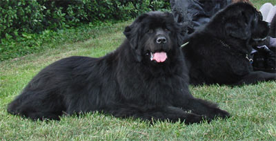 Sa&iuml;ma &agrave; 9 ans