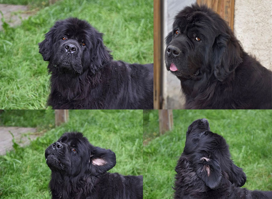 Pen-Duick prend la pose