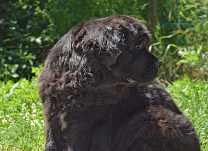 Pen-Duick prend la pose