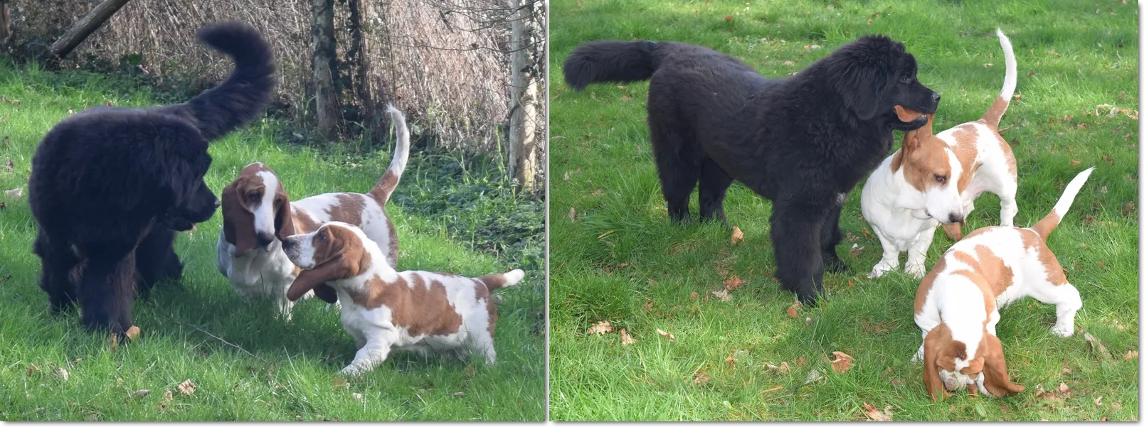 Moments de complicité