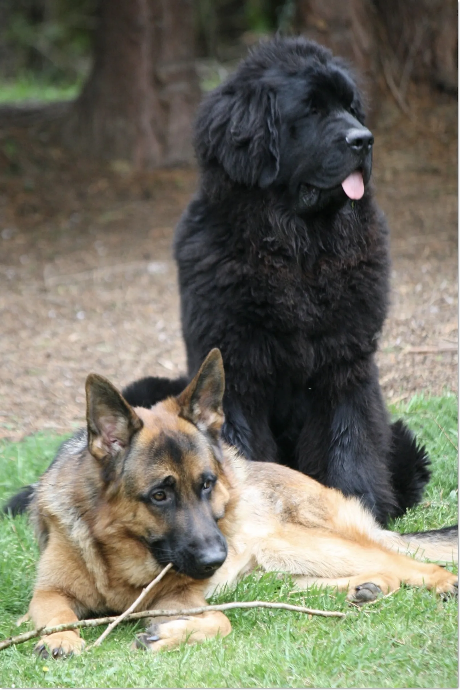 Arthus (7 mois)